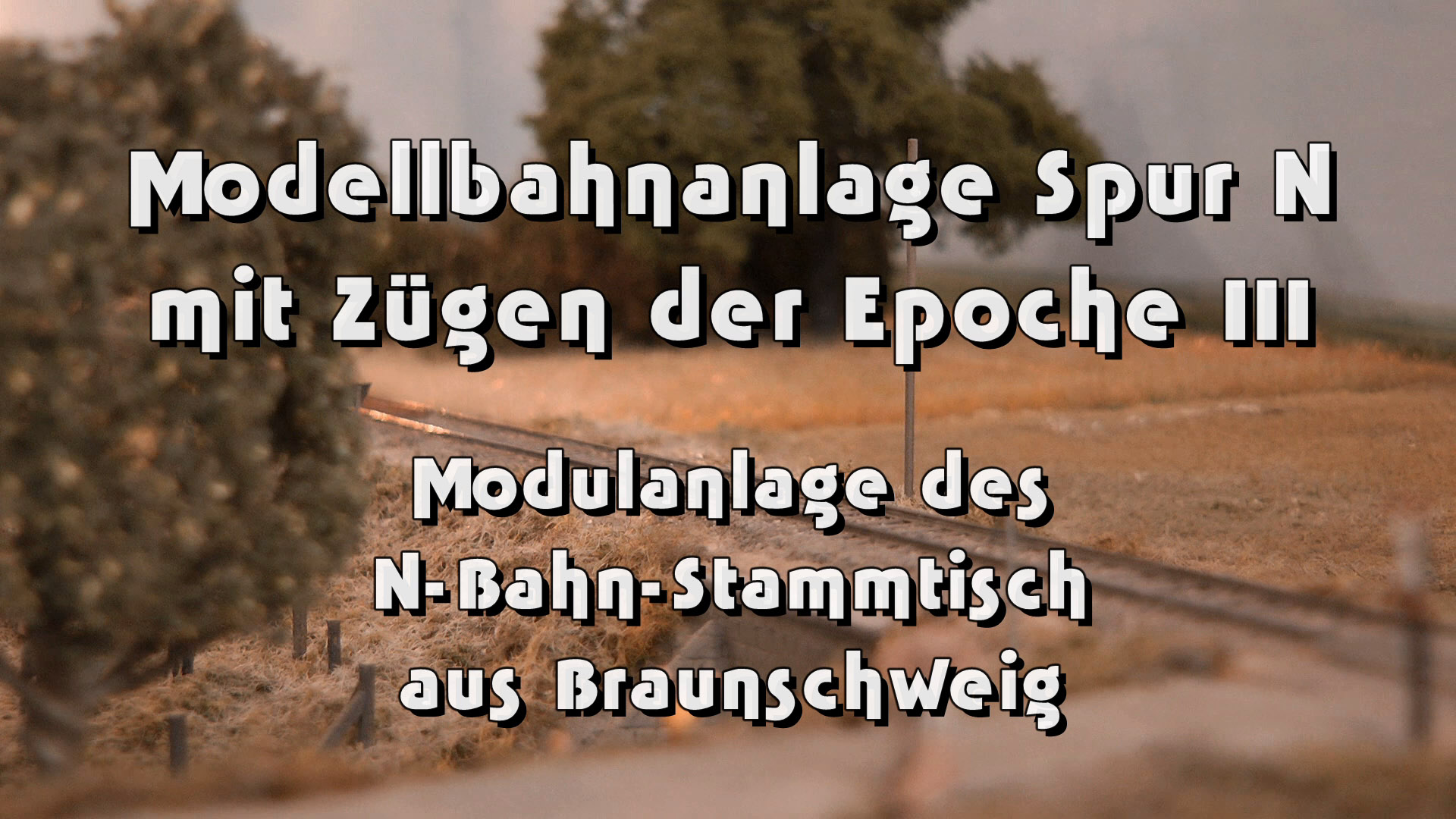 Modellbahn-Anlage Spur N mit Zügen der Deutschen Bundesbahn Epoche III (Dampfloks und Dieselloks)